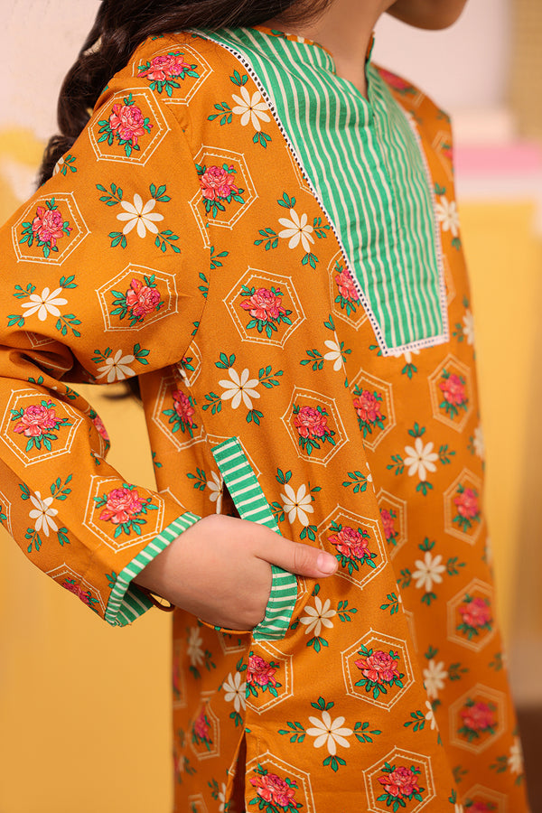 Kurta Trouser - 2657