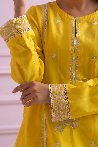 Embroidered Kurta Trouser - 2092
